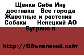 Щенки Сиба Ину доставка - Все города Животные и растения » Собаки   . Ненецкий АО,Бугрино п.